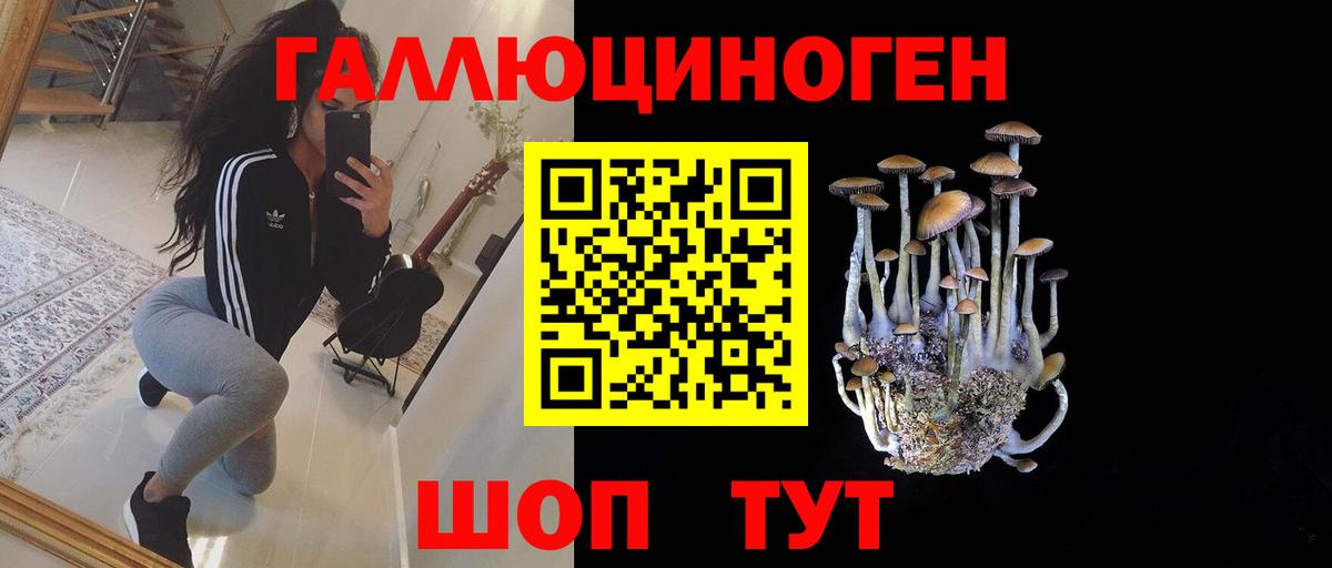 Чехов  Псилоцибиновые грибы мухоморы  где купить наркоту  Вход с VPN 